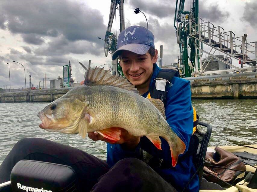 Waarom crankbaits het verschil kunnen maken – 5 redenen