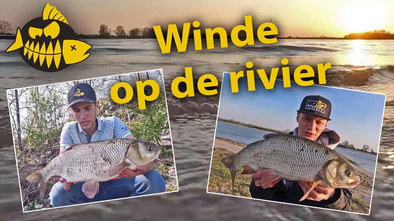 ***Hakkert & Honders VIDEO*** – Spektakel in ’t oppervlak PLUS bloopers