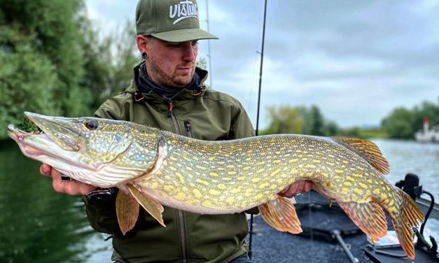 Roofmeister Inside – PR snoek van 115 cm op een te testen softbait & ruim 50 actuele vangstfoto’s!