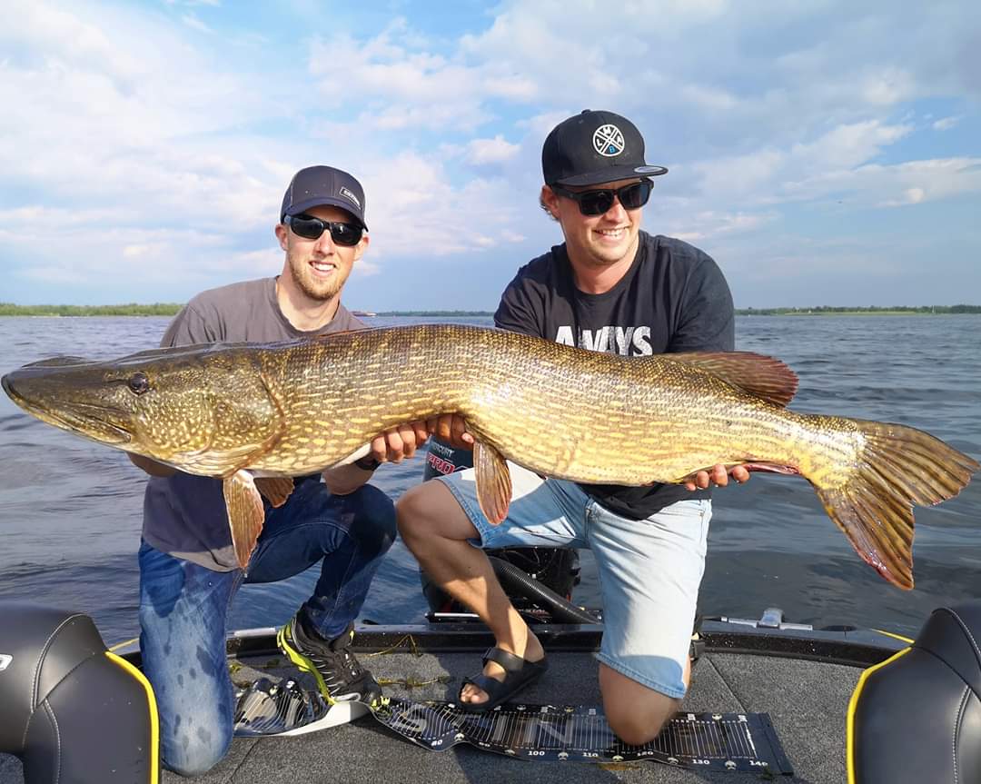 Roofmeister Inside FUNPIC’S – Triple Peacock grande & snoek van 136 cm!