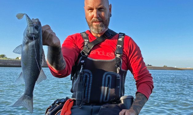 Zeebaars in zeeland  – Interview met een junky