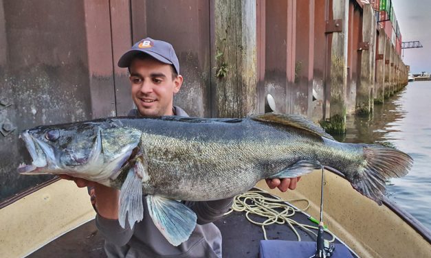 ***Snoekbaars van 97 cm & 120 cm snoek*** Krankzinnige opening van het seizoen