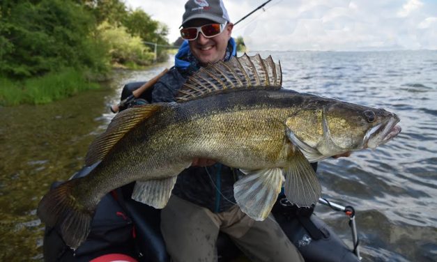 Vliegvisser vangt snoekbaars van 90,5 cm