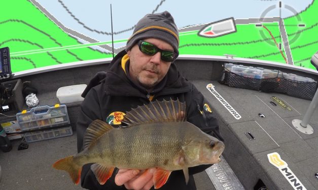 Fishfinder revolutie – Laat je boot automatisch een dieptelijn volgen