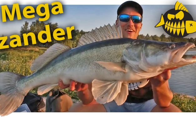 Mega snoekbaars van 90 cm ***Hakkert & Honders VIDEO***