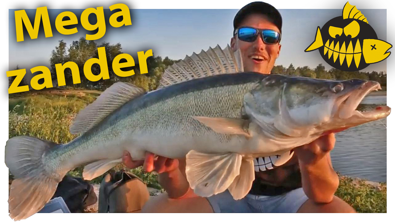 Mega snoekbaars van 90 cm ***Hakkert & Honders VIDEO***