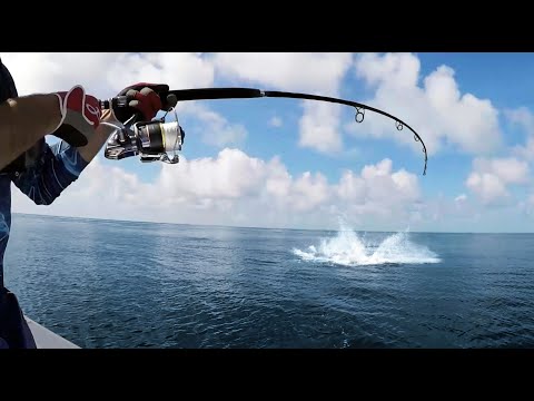 Waanzinnig spektakel op sportvis numéro uno – De Giant Trevally!