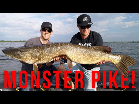 De grootste snoek ooit op YouTube?