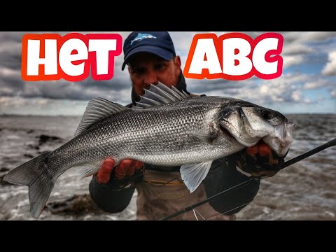 Zo vis je op zeebaars – Tal van bruikbare tips