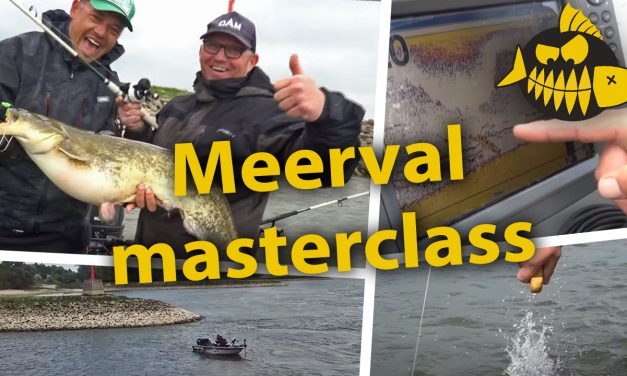 ***Roofmeister VIDEO*** Meerval masterclass met specialist Roy Noom