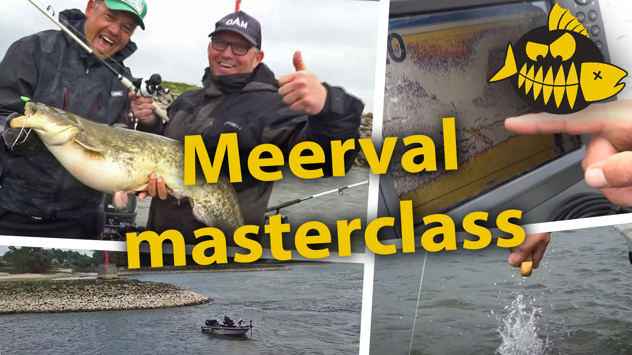 ***Roofmeister VIDEO*** Meerval masterclass met specialist Roy Noom