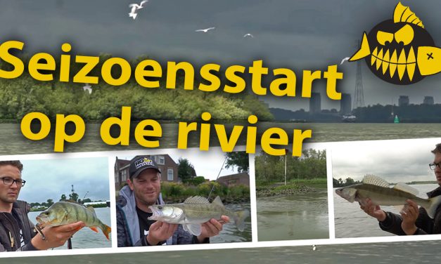 ***Roofmeister VIDEO*** Vissen op rivier snoekbaars – Allround met riviermeister Robert Noorland