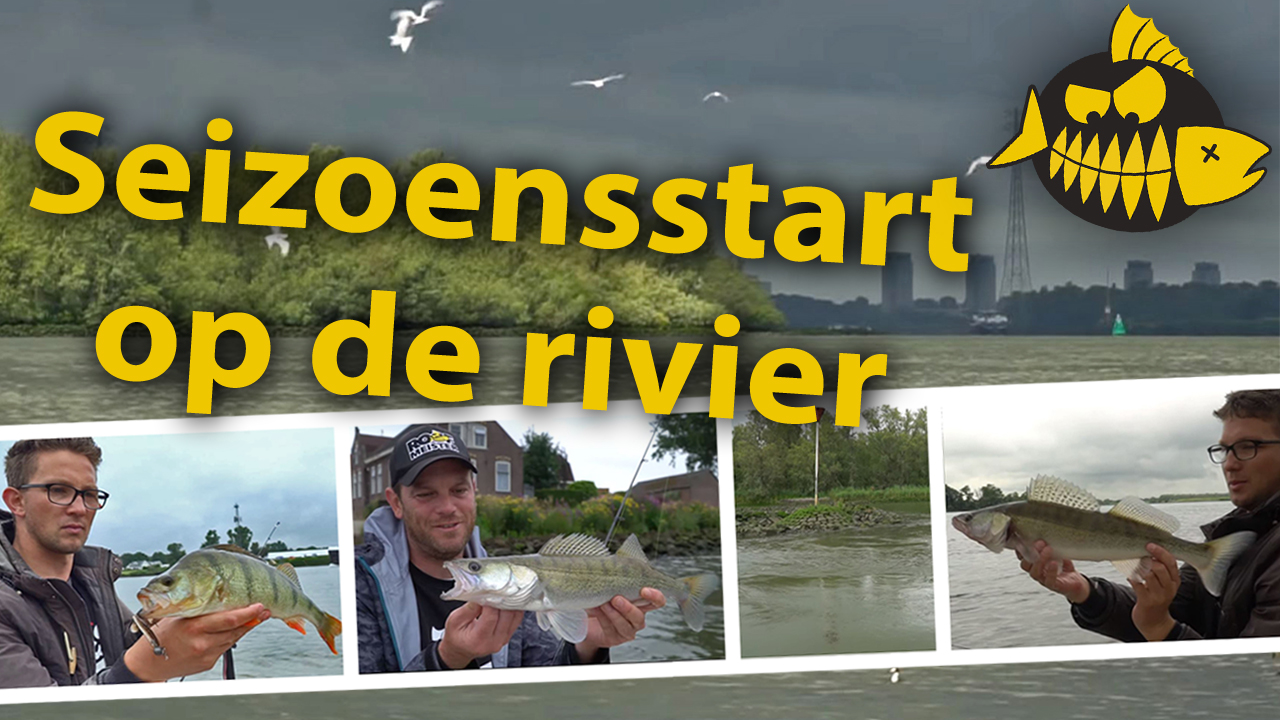 ***Roofmeister VIDEO*** Vissen op rivier snoekbaars – Allround met riviermeister Robert Noorland