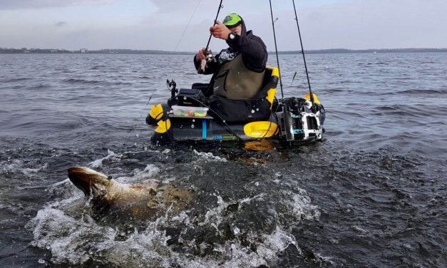 Rik Sieben over next level bellyboaten en wedstrijden