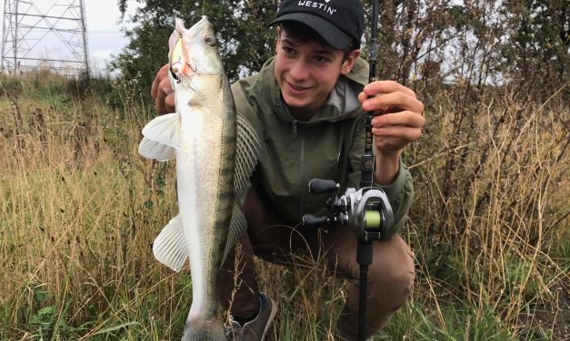 Zo vang je snoekbaars op crankbaits – 5 cruciale tips & tricks