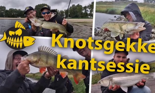 ***Roofmeister VIDEO*** Gruwelijke freestyle kantsessie – Hakkert & Honders vangen 6 verschillende soorten