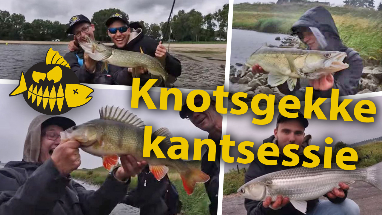 ***Roofmeister VIDEO*** Gruwelijke freestyle kantsessie – Hakkert & Honders vangen 6 verschillende soorten
