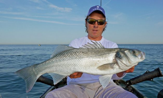 Roofmeister Top Gear – Westin zeebaars shad & gloednieuwe Shimano molen
