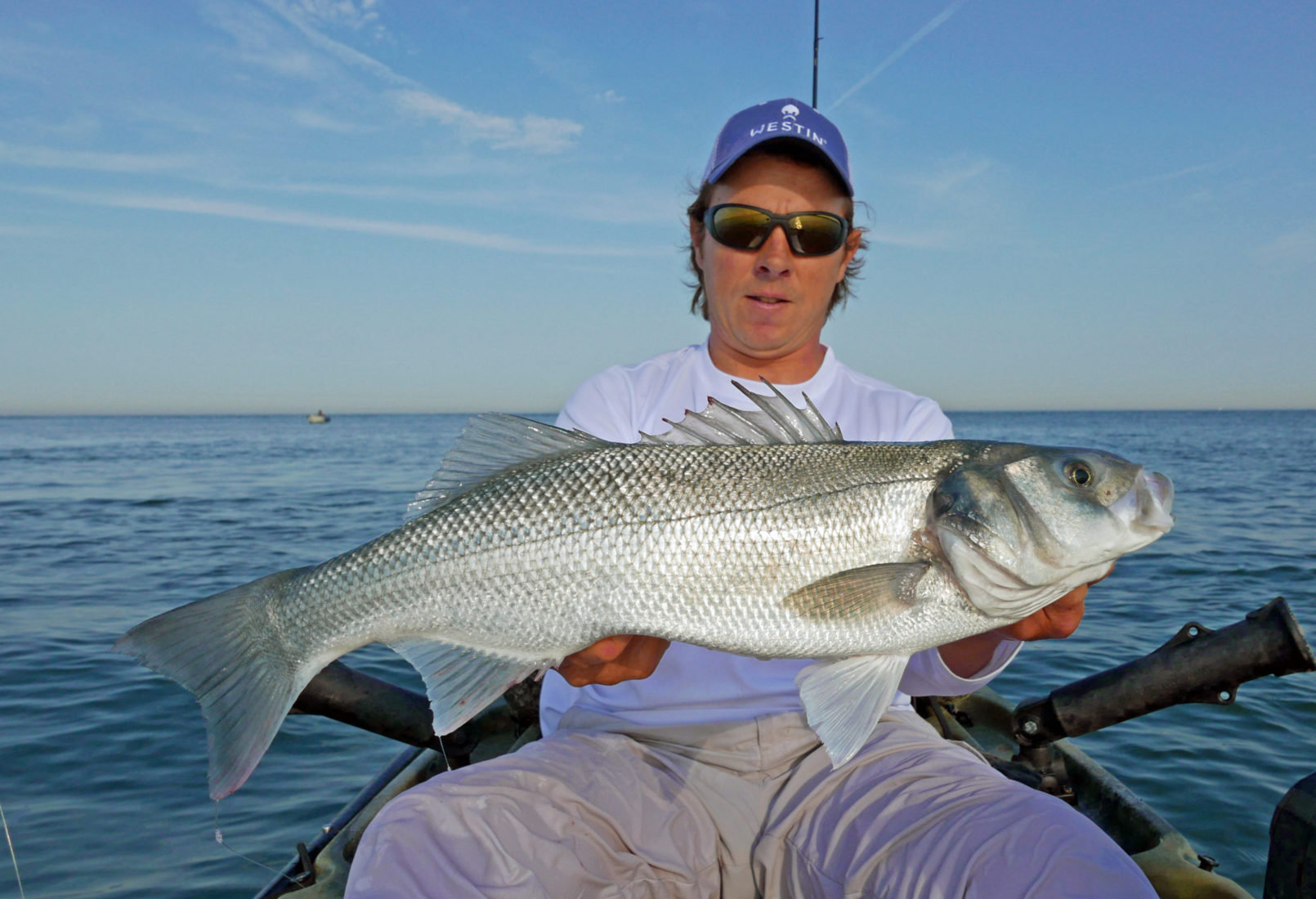 Roofmeister Top Gear – Westin zeebaars shad & gloednieuwe Shimano molen