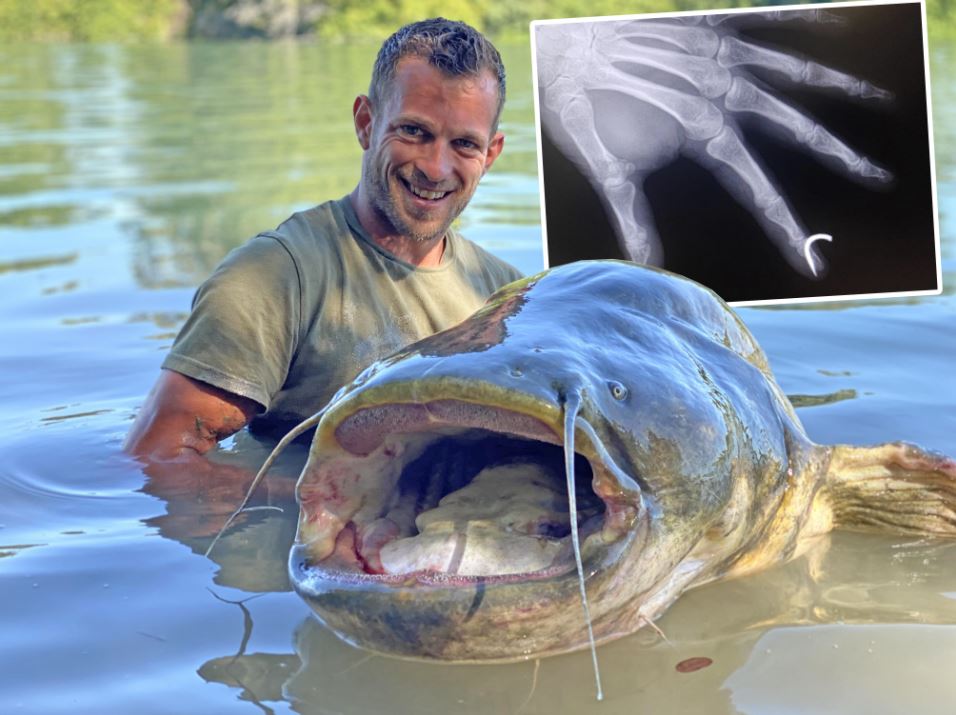 Megameerval van 244 cm & dikke PECH