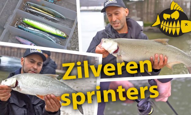 ***Roofmeister VIDEO*** Op roofblei met Mehmet & Mourat – Zilveren sprinters in Rotterdam