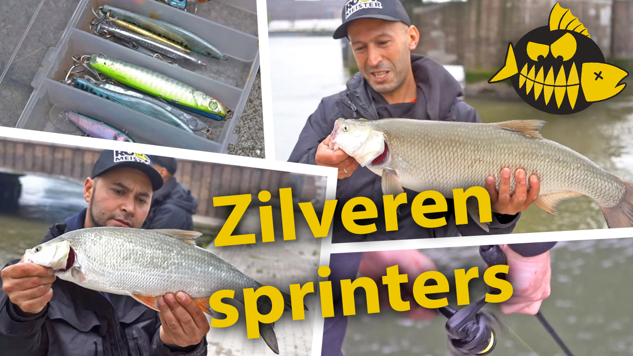 ***Roofmeister VIDEO*** Op roofblei met Mehmet & Mourat – Zilveren sprinters in Rotterdam