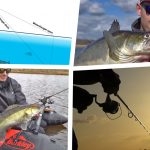 Werpen met shads op snoekbaars – 7 beginnersfouten