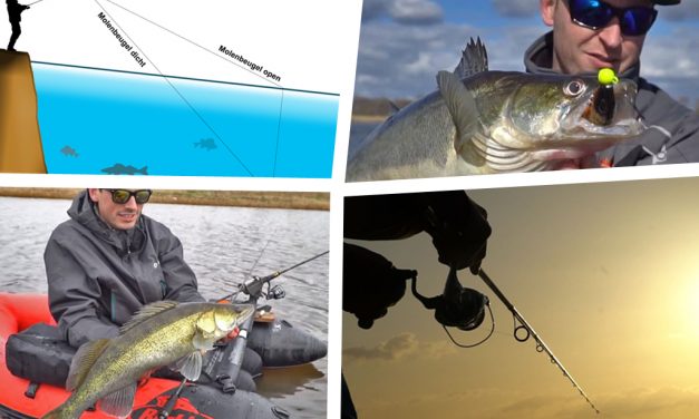 Werpen met shads op snoekbaars – 7 beginnersfouten