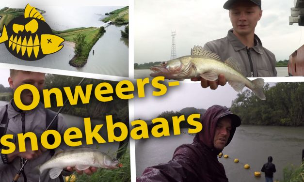 ***Roofmeister VIDEO*** Werpend op snoekbaars – Overvallen door het onweer