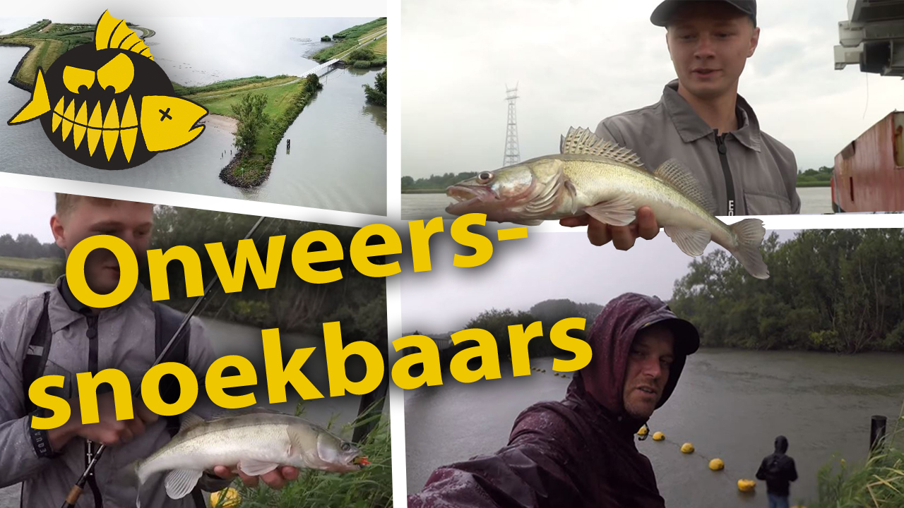 ***Roofmeister VIDEO*** Werpend op snoekbaars – Overvallen door het onweer