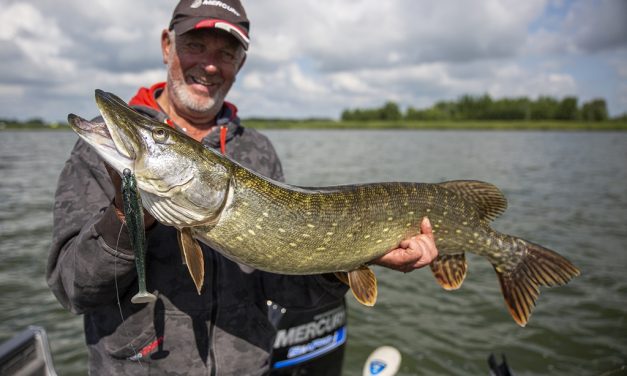 Late zomer snoek met Bertus Rozemeijer – Extreem ondiepe Esox