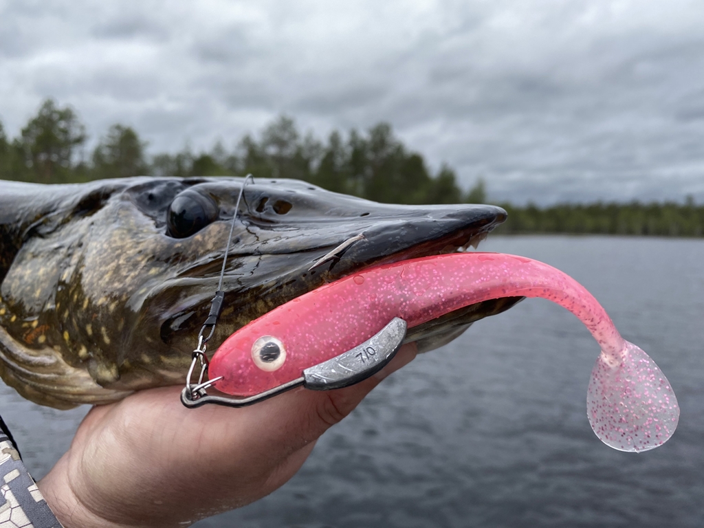 Extreem zachte en soepele softbait – De Hollow Belly