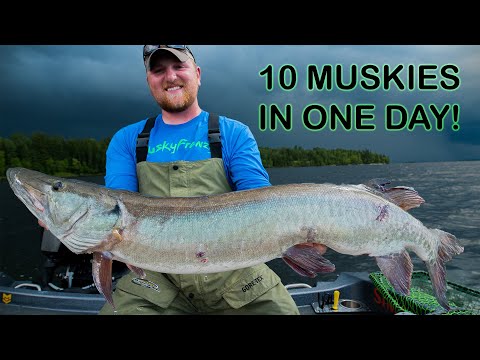 10 muskies op één dag