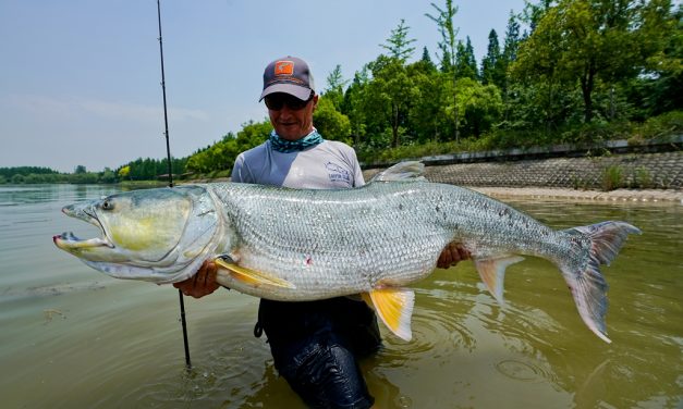 Wereldvisser Martin Korner – Een voorliefde voor grote tarpon, snoek en zeebaars