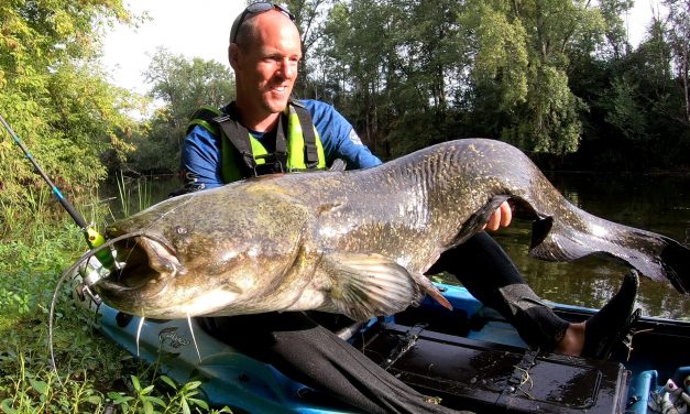Top secret meerval techniek uit Frankrijk –  De Whopper Plopper als ultieme teaser