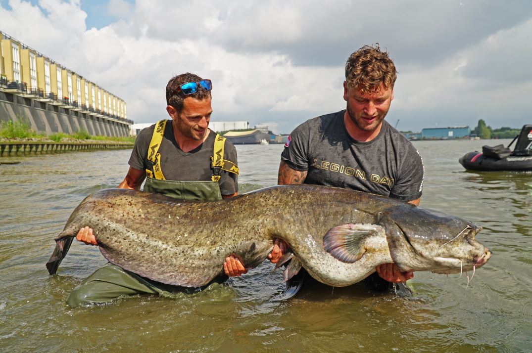 Roofmeister Inside – Ruim 40 actuele vangstfoto’s & Rotterdams Maasmonster van 218 cm!