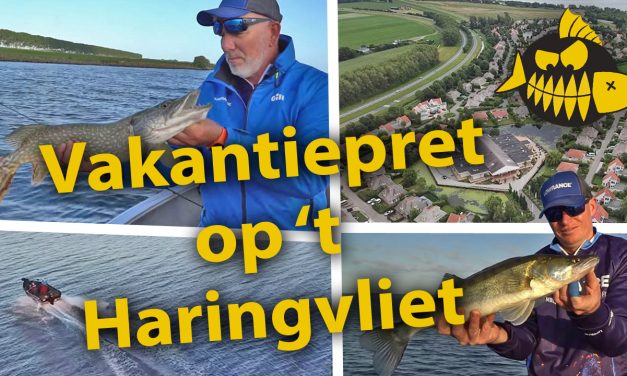 ***Roofmeister VIDEO*** Snoek en snoekbaars op ’t Haringvliet – Visvakantie in eigen land