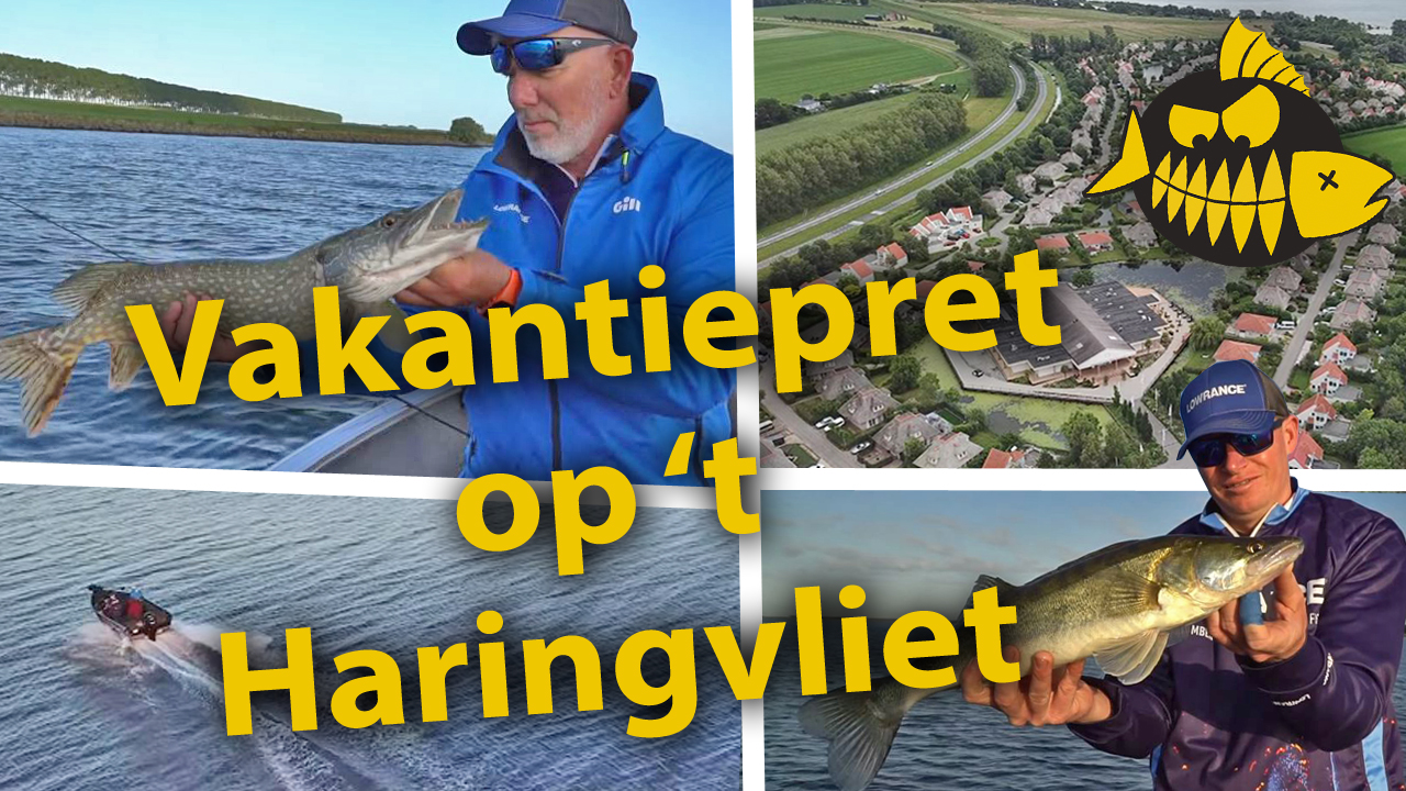 ***Roofmeister VIDEO*** Snoek en snoekbaars op ’t Haringvliet – Visvakantie in eigen land