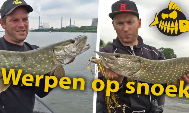 ***Roofmeister VIDEO*** Op zoek naar Maasmonsters – Bizarre bijvangst