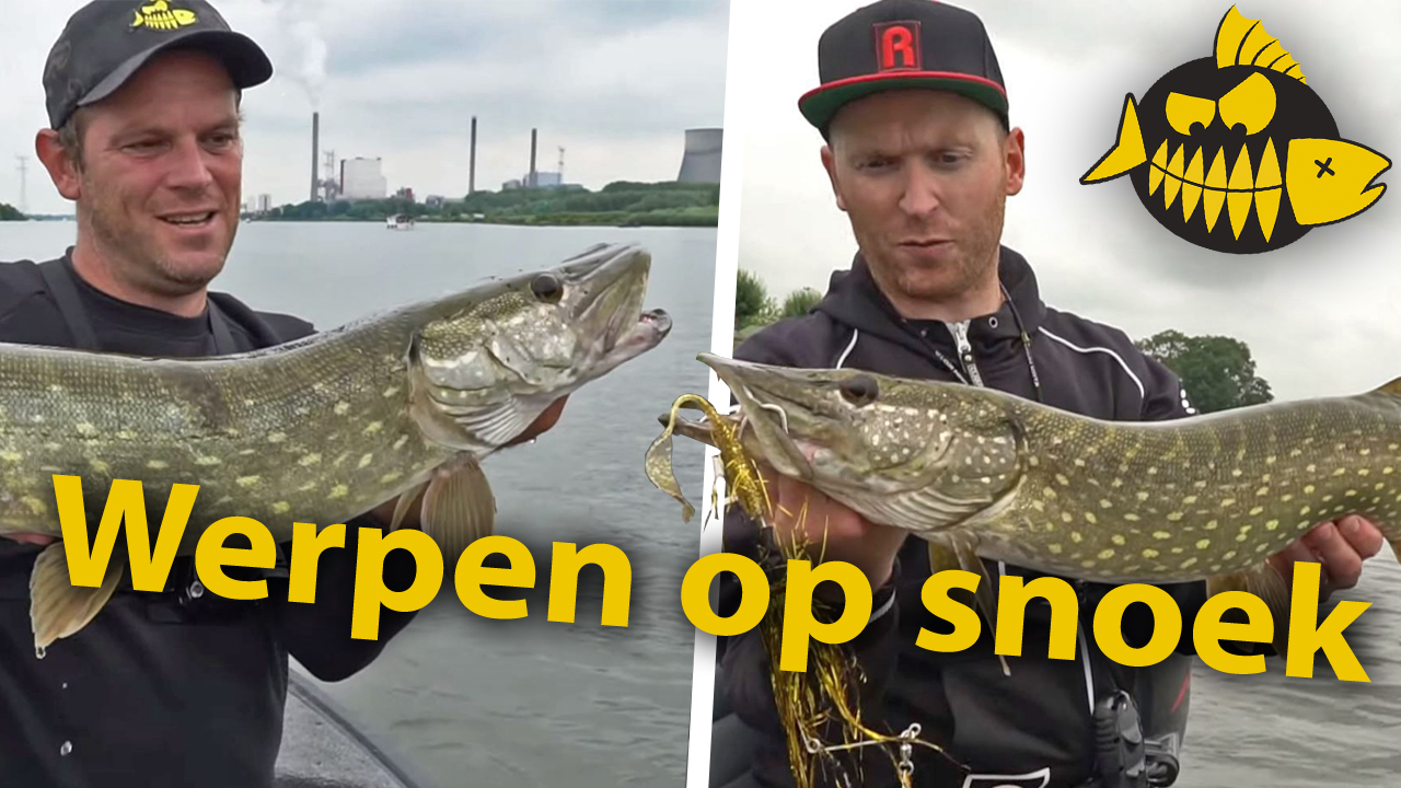 ***Roofmeister VIDEO*** Op zoek naar Maasmonsters – Bizarre bijvangst