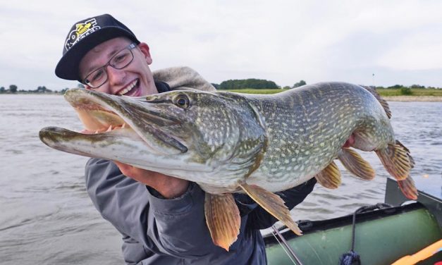 Tackle Meister Review – Westin Bullteez – Succesrecept voor dikke snoeken