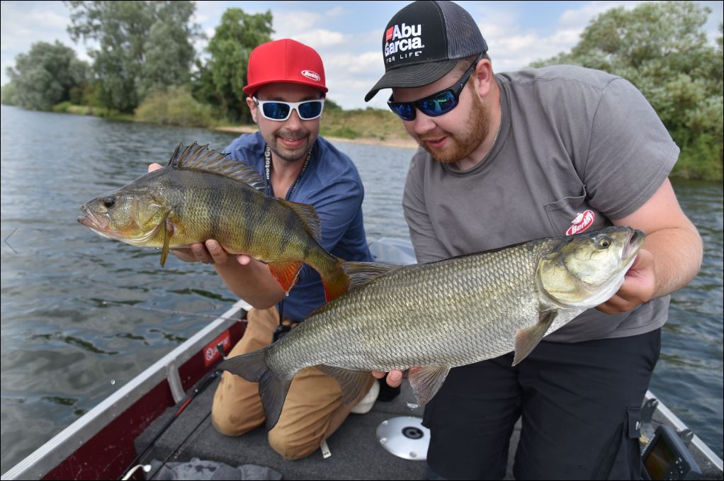 Met hardbaits aan de slag op stekels en roofblei