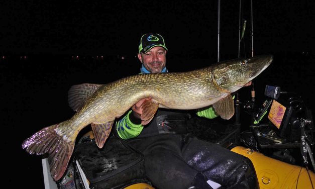 116 cm snoek en 96 cm voor Rik Sieben vanuit de bellyboat – Pelagisch op XXL