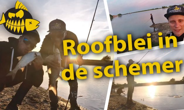 ***Roofmeister VIDEO*** Roofblei pret in de avonduren – Hakkert & Honders