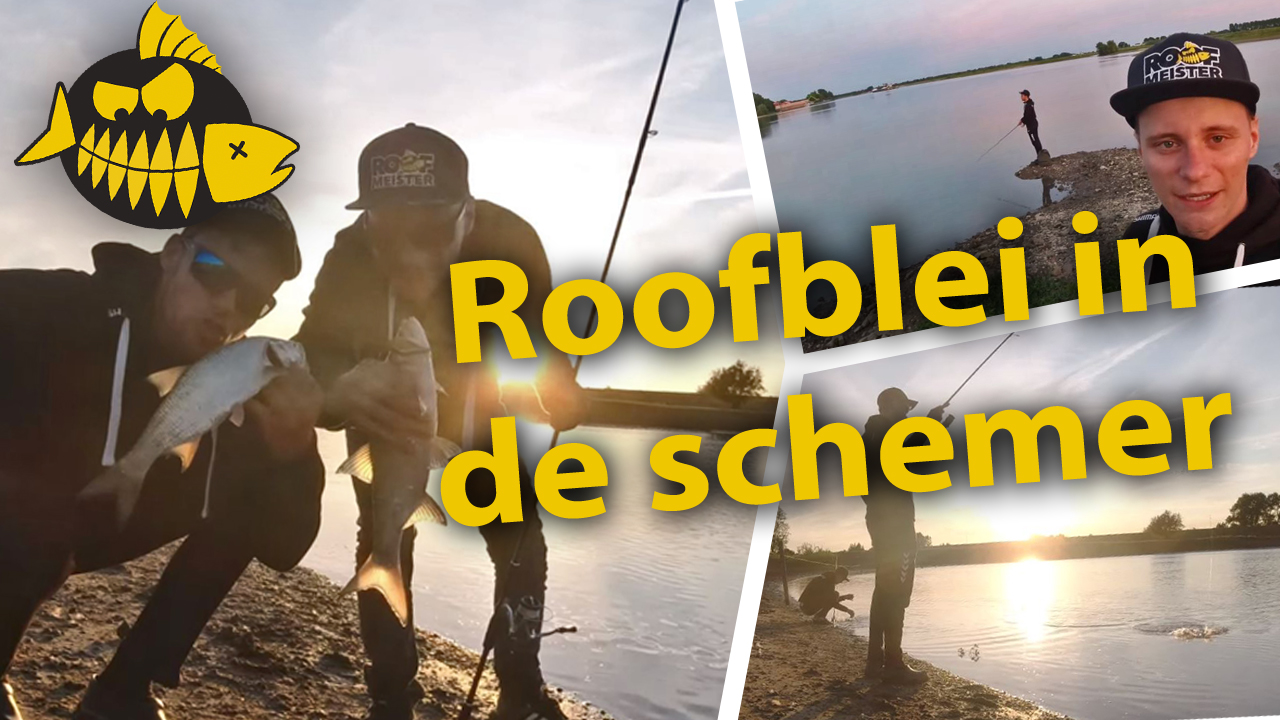 ***Roofmeister VIDEO*** Roofblei pret in de avonduren – Hakkert & Honders