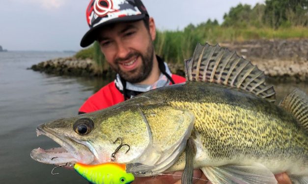 Op alles wat rooft – Werpend met crankbaits -Hendry Vis