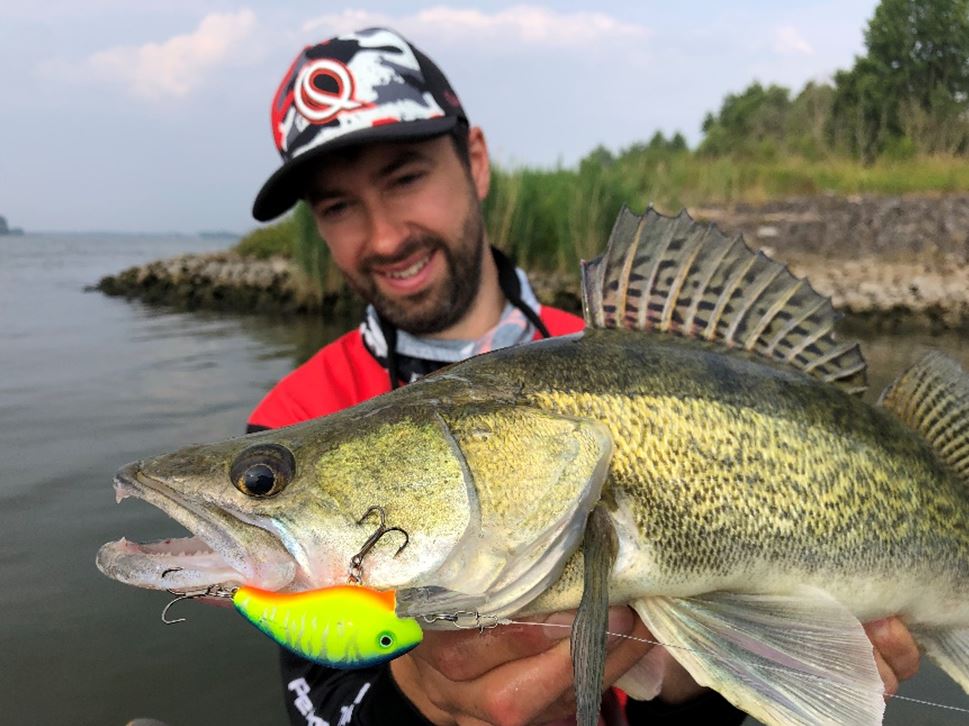 Op alles wat rooft – Werpend met crankbaits -Hendry Vis