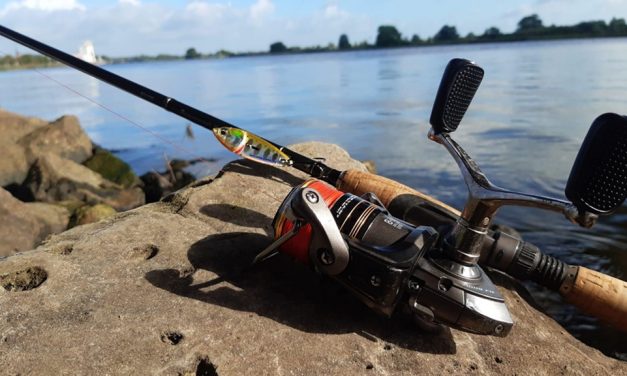 Tackle Meister Review – Savage Gear Switch Blade – Baars zoeker PLUS