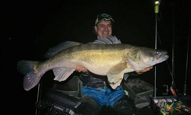 Gigantische snoekbaars van 104,8 cm – Interview met de Willy Wortel onder de bellyboaters