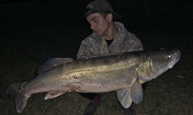 Metersnoekbaars van 103 cm vanaf de kant
